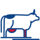 vaca